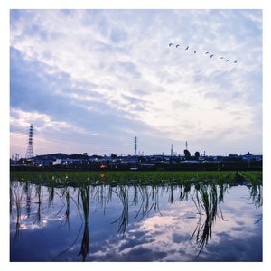 裸体按摩院色情
